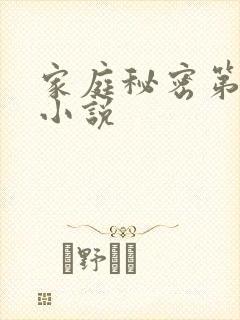 家庭秘密第3集小说