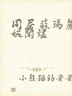 同居 苏玛丽蒋婉闻烬