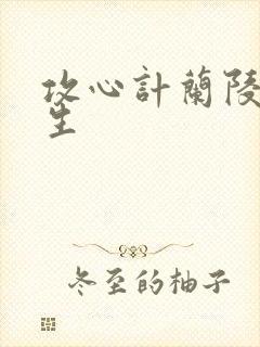 攻心计兰陵笑笑生