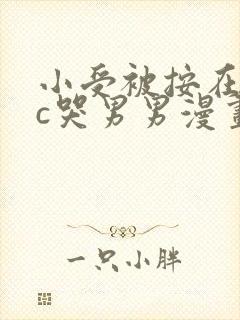 小受被按在墙上c哭男男漫画