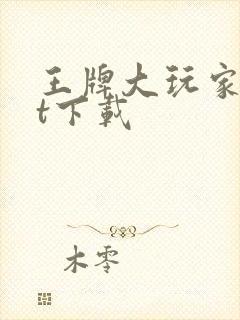 王牌大玩家txt下载