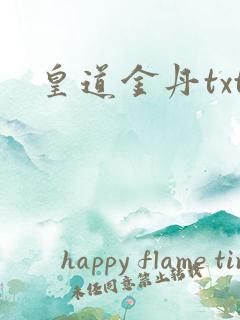 皇道金丹txt
