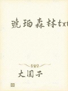琥珀森林txt