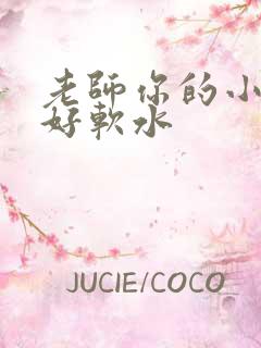 老师你的小兔子好软水