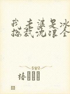 我老婆是冰山女总裁沈浪全集