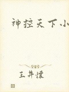 神控天下小说