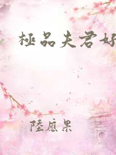 极品夫君好又多