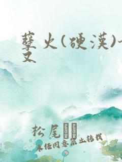 孽火(硬汉)今又