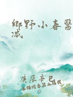 乡野小春医无删减
