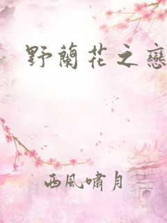野兰花之恋