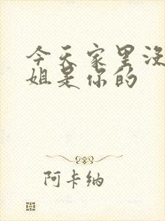 今天家里没人姐姐是你的