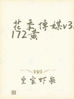 花季传媒v3.172黄