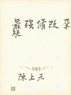 最强修改孕妇系统