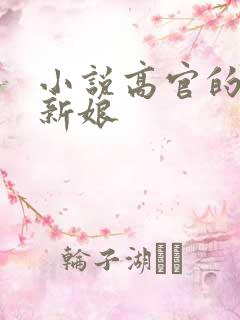 小说高官的暗夜新娘