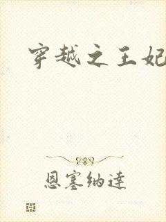 穿越之王妃有孕