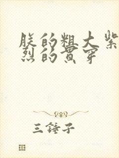 朕的粗大紫红猛烈的贯穿