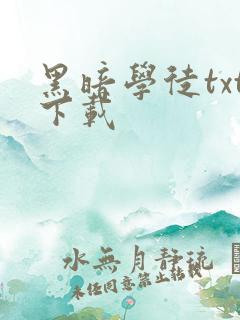黑暗学徒txt下载