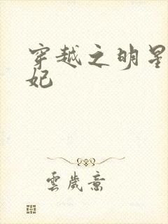 穿越之明星太子妃