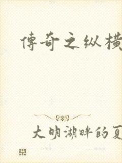 传奇之纵横法师