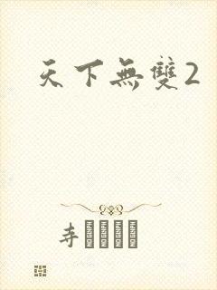 天下无双2