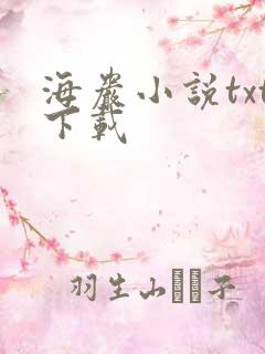 海岩小说txt下载