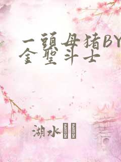 一头母猪BY黄金圣斗士