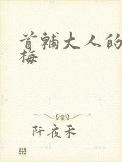 首辅大人的小青梅