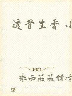 透骨生香 小说