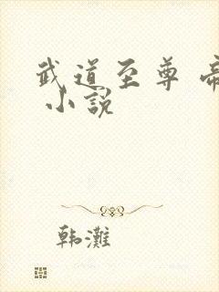 武道至尊 帝临 小说