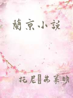 兰京小说