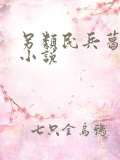 另类民兵葛二蛋小说