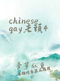 chinesegay老头4