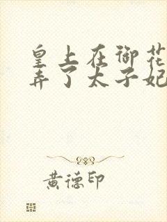 皇上在御花园c弄了太子妃