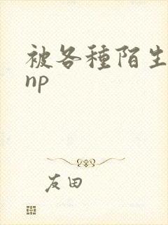 被各种陌生人 np