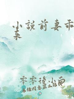 小说前妻乖乖回来