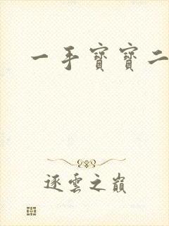 一手宝宝二手妻