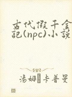 古代假千金挨日记(npc)小说
