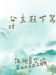 公主殿下驾到txt