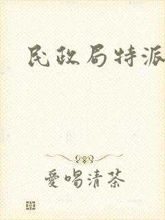 民政局特派对象