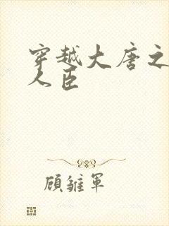 穿越大唐之位极人臣