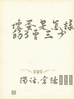 坏蛋是怎样炼成的3曹三少