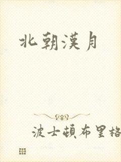 北朝汉月
