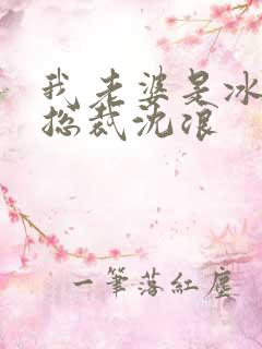 我老婆是冰山女总裁沈浪