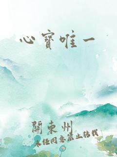 心宝唯一