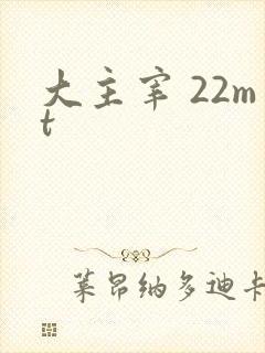 大主宰 22mt