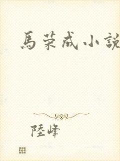 马荣成小说
