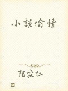 小说偷情