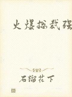 火爆总裁强制爱