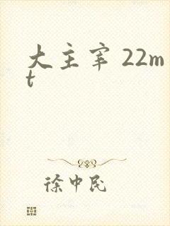 大主宰 22mt