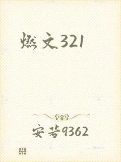 燃文321